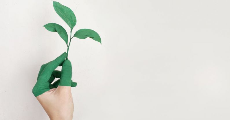 Sustainable Fashion - Person's Left Hand Holding Green Leaf Plant